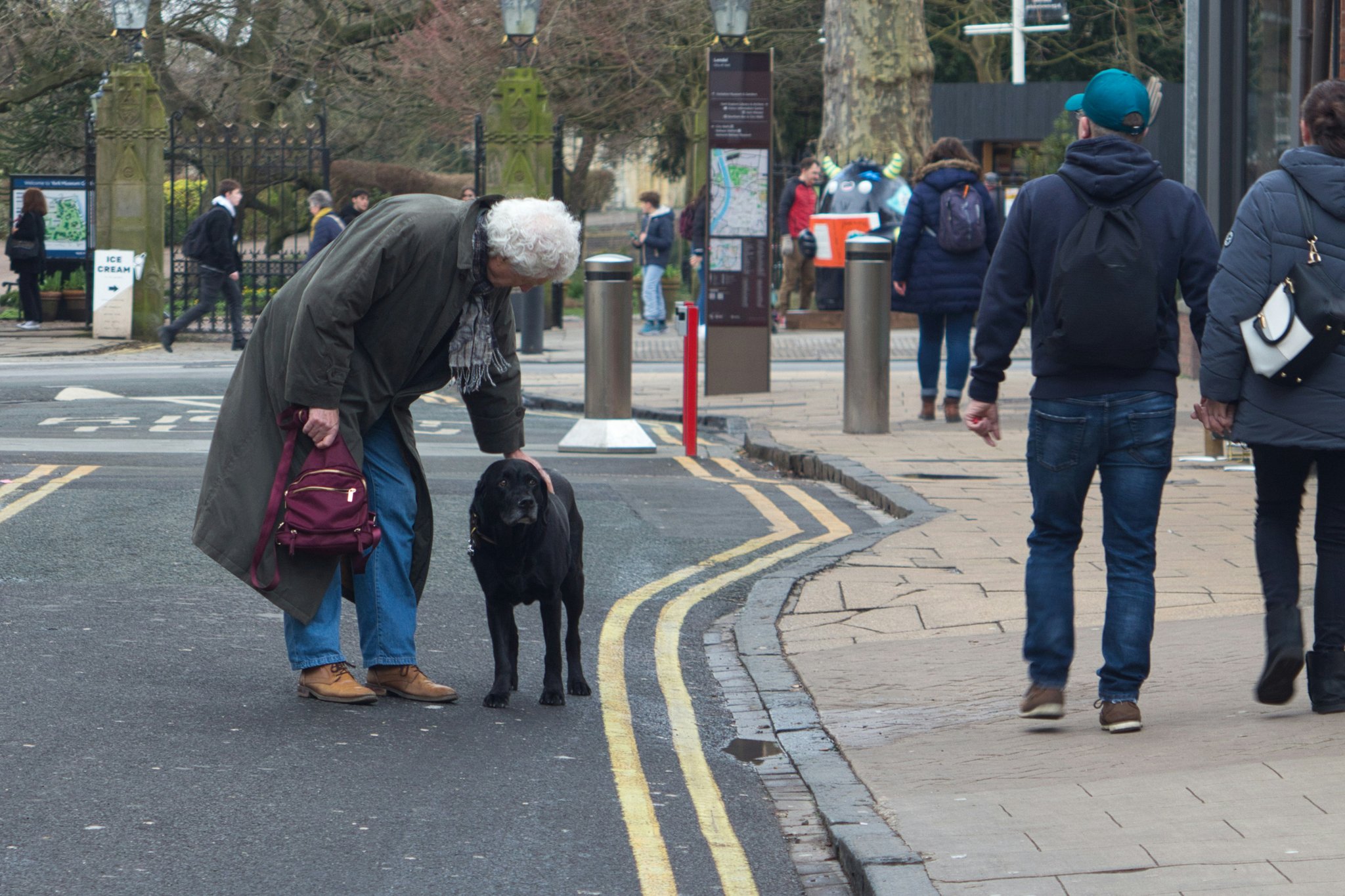 A golden retriever looking at food on the ground in a busy setting