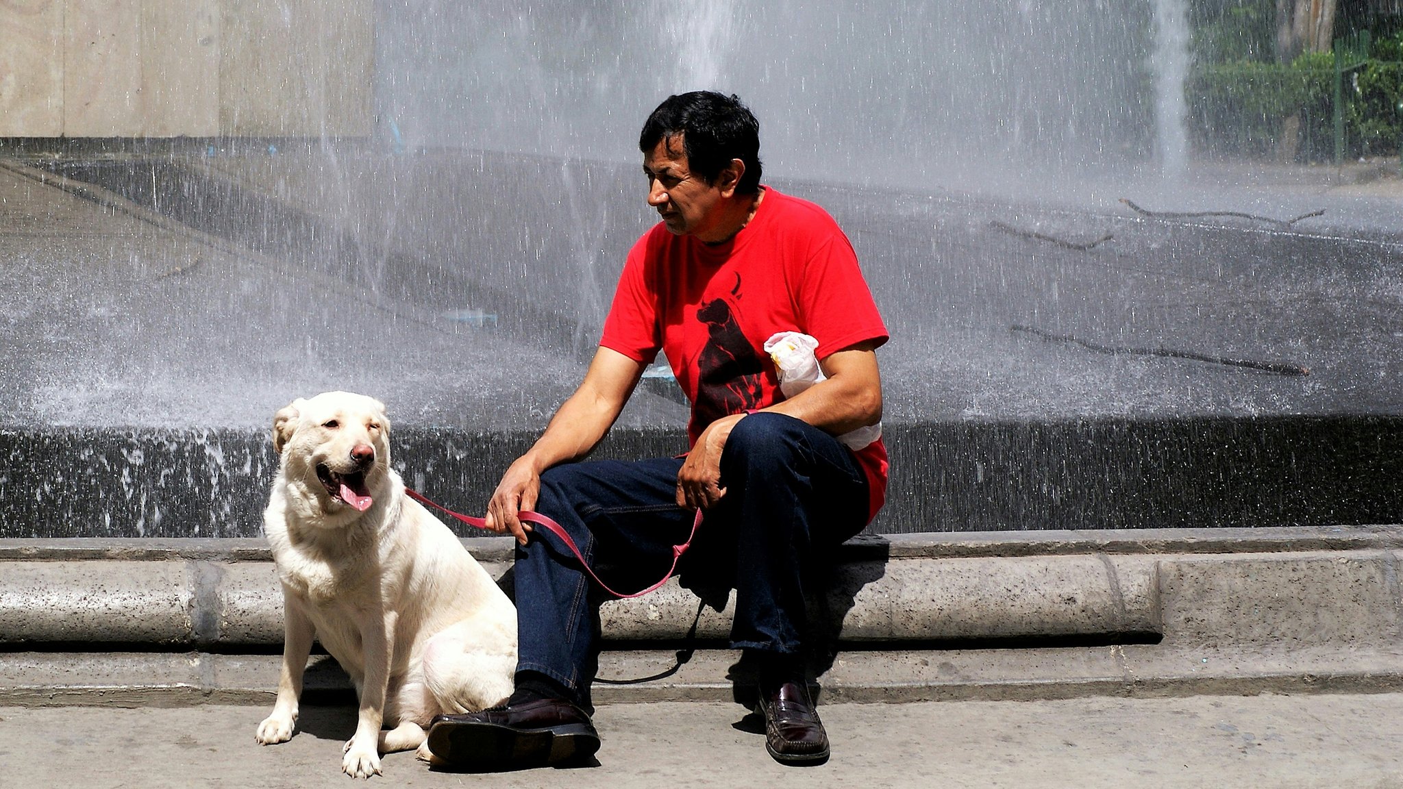 A trainer teaching a golden retriever how to pick up medicine bottles from the floor.
