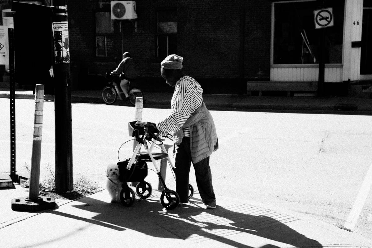 Infographic showing types of tasks service animals can learn