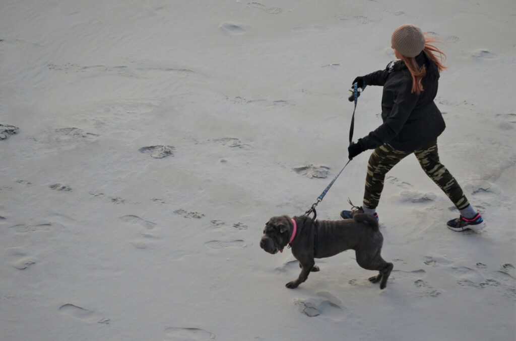 Mastering Service Dog Task Techniques: A Complete Guide for Handlers