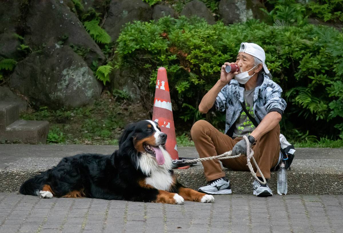 Service Dog Owner Preparation: How to Master Training & Support