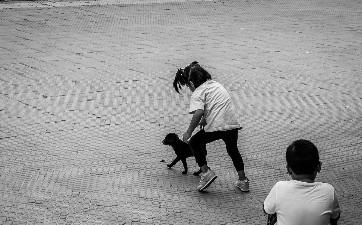 A trainer working with a service dog on retrieving an item