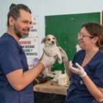 Health Monitoring for Service Animals: A Complete Guide to Keeping Your Partner in Peak Condition