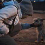 Service Animal Care Guidelines: Mastering the Art of Support and Training