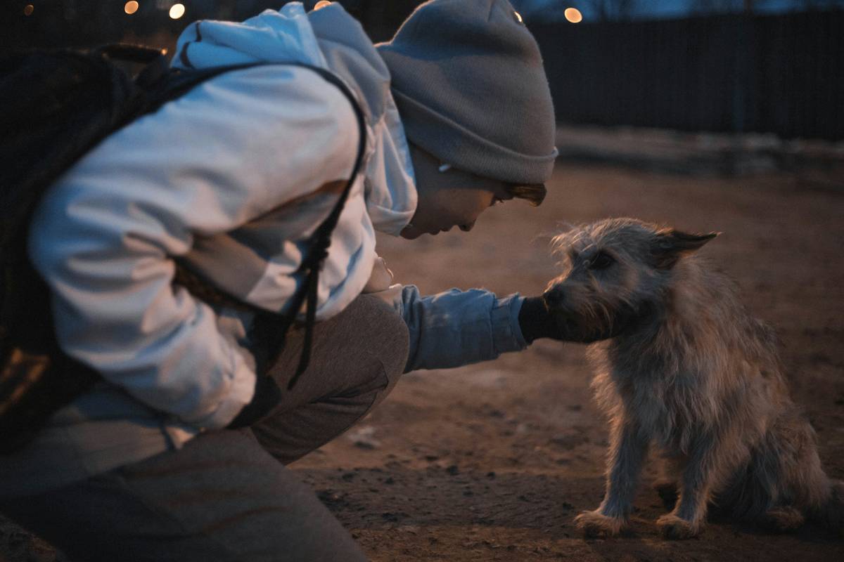 Service Animal Care Guidelines: Mastering the Art of Support and Training