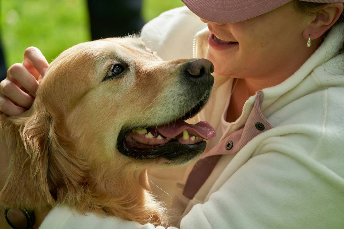 The Ultimate Guide to Pet Care Service Dog Role: Training, Support, and Success